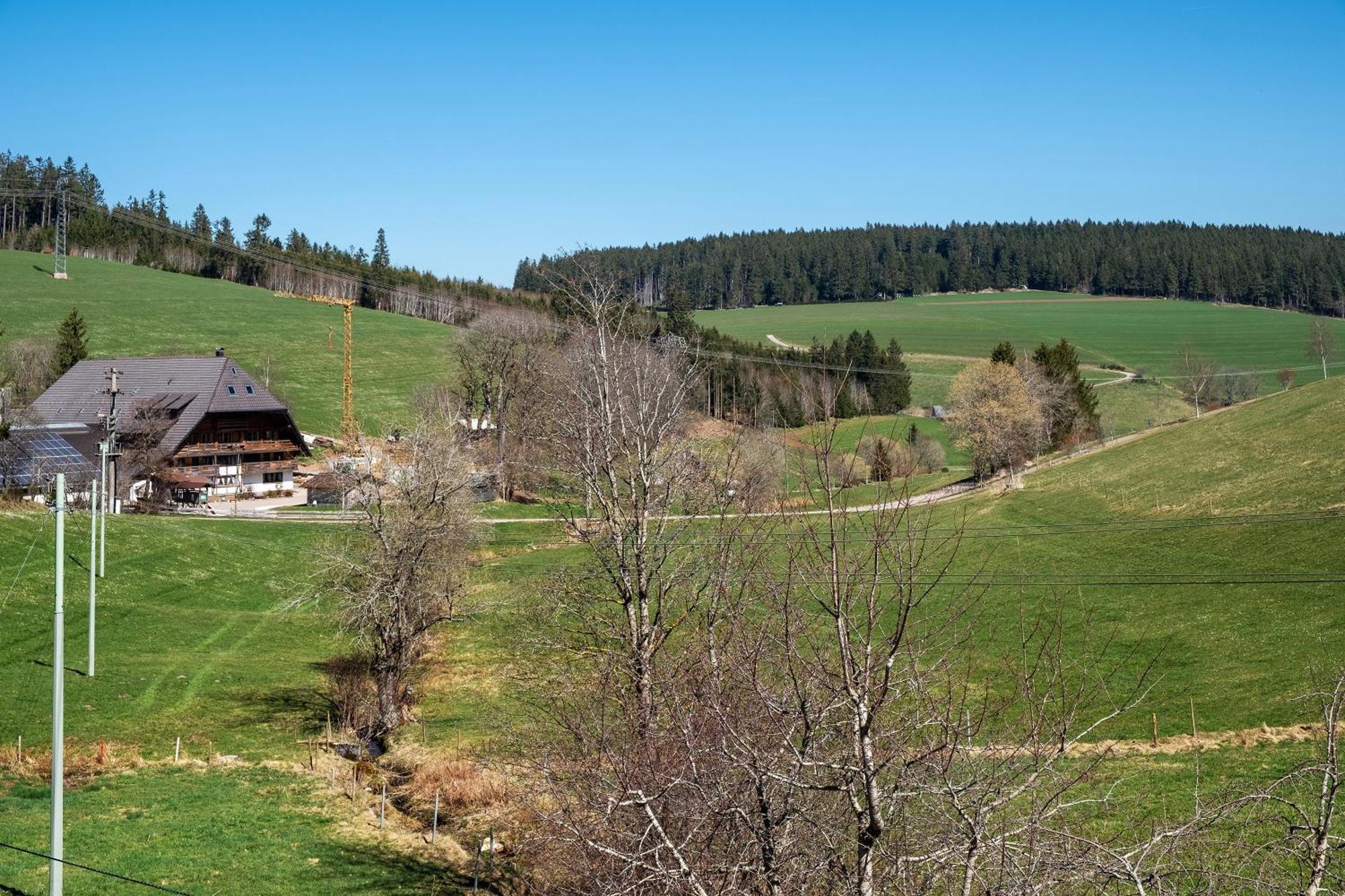 Ferienwohnung Armbruster St. Georgen im Schwarzwald Exterior foto