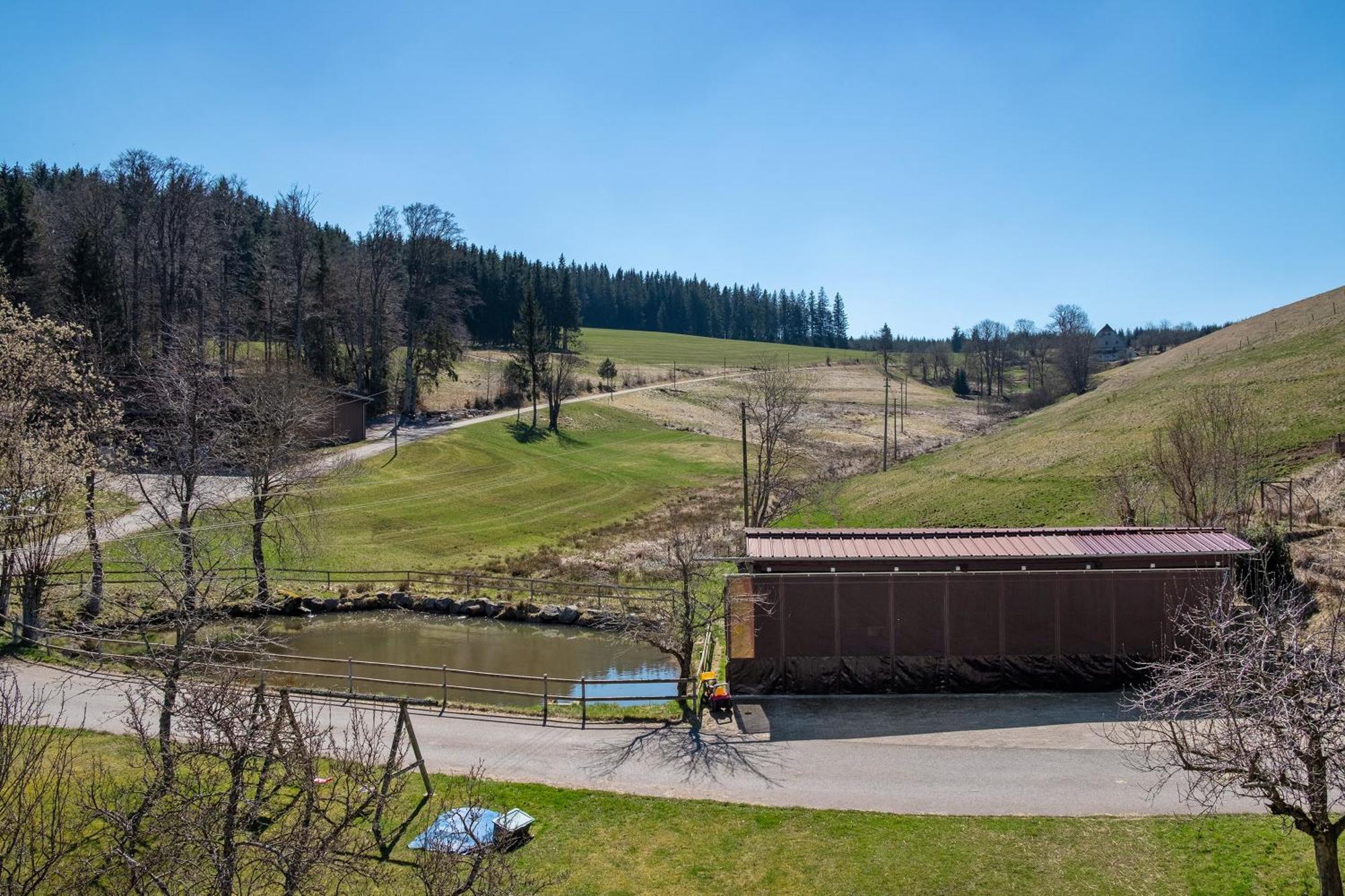 Ferienwohnung Armbruster St. Georgen im Schwarzwald Exterior foto